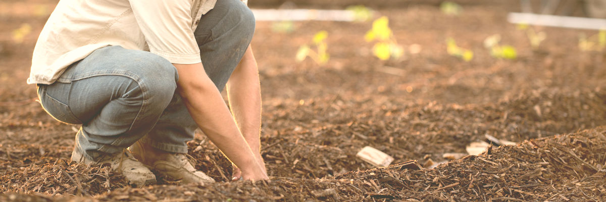 Credibility of workers